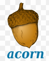 Filewikivoc - Acornsvg Wikimedia Commons Oak Tree Clipart Acorn Png,Acorn Png