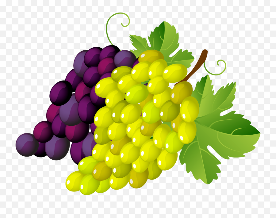 Grapes Png Clipart Green And Black With Leaf Transparent - Fruits Vector,Leaf With Transparent Background