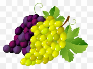 Grapes Png Clipart Green And Black With Leaf Transparent - Fruits Vector,Leaf With Transparent Background