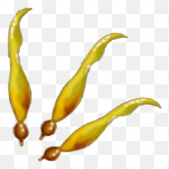 Kelp - Food Png,Kelp Png