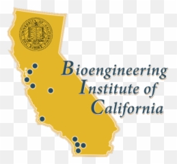 The 17th Annual Uc Systemwide - Bioengineering Institute Of California Png,Bic Logo