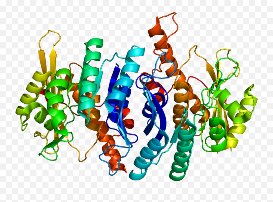 Pdxk - Protein Structure Cool Png,Icon 3d Pdx