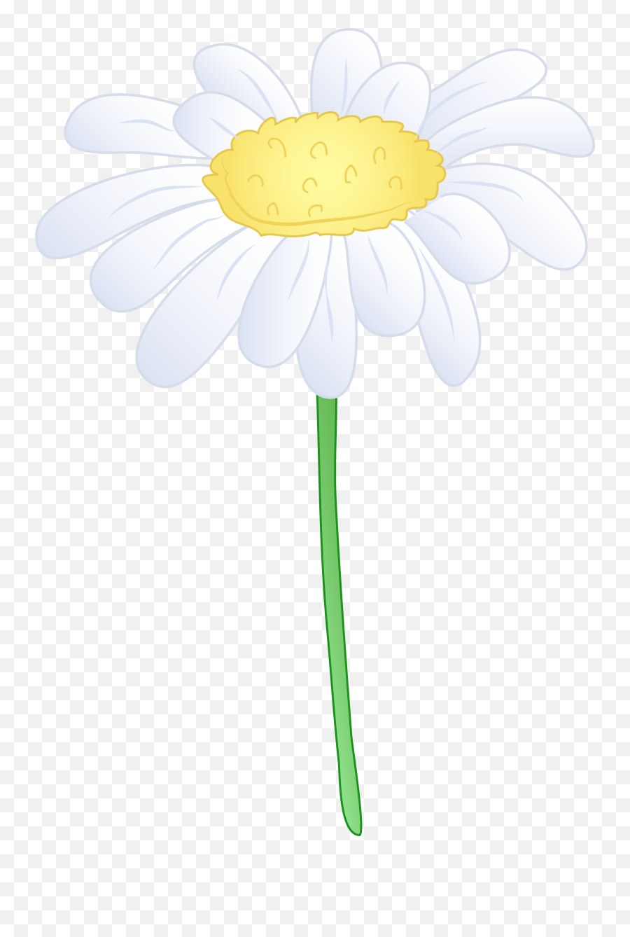 White Daisy Flower Hd Photo Clipart Png - White Single Daisy Flower,Daisy Png