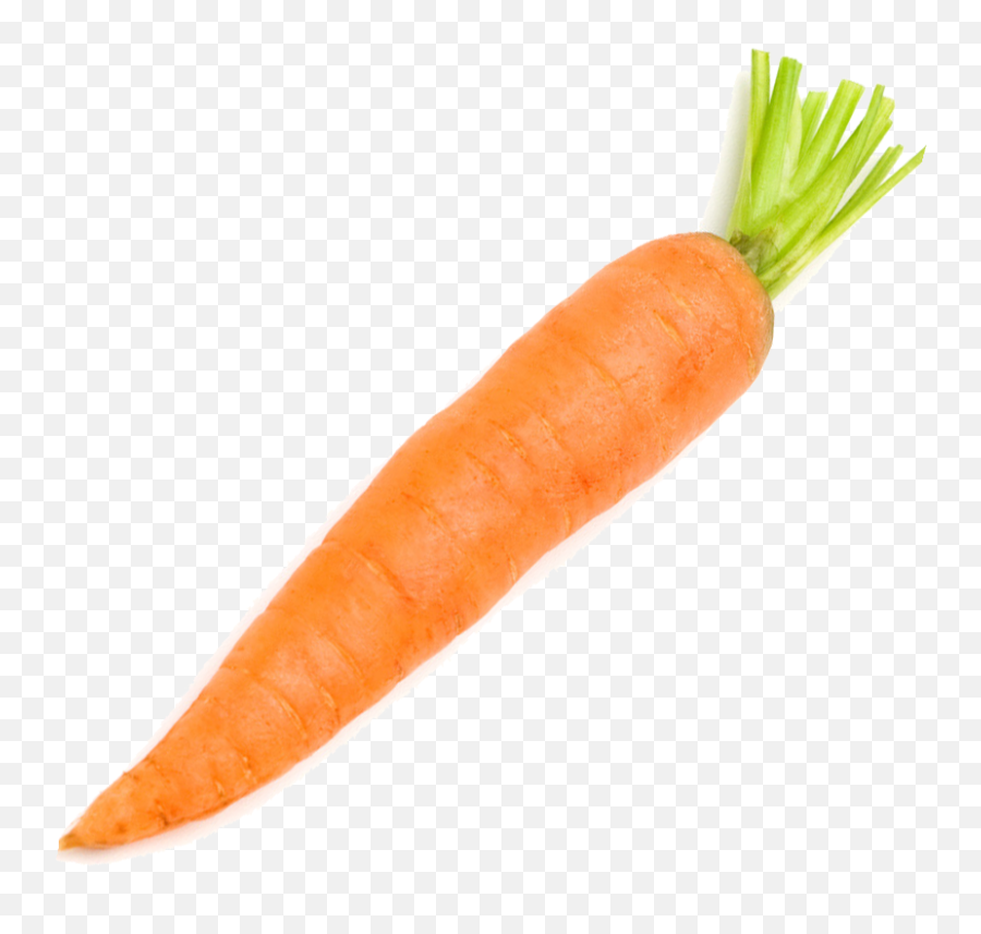 Vegetable Radish - Carrot Png,Carrot Transparent Background