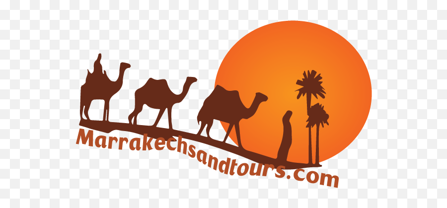 Morocco Tours Trips In Desert - Arabian Camel Png,Camel Logo
