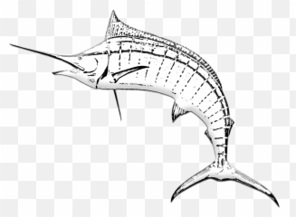 Marlin Fish Sword Game - Atlantic Blue Marlin Png,Marlin Png