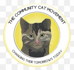 Home Communitycatmovement - Bloordale Middle School png