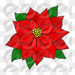 Lessonpix Mobile - Poinsettia Png,Poinsettia Png