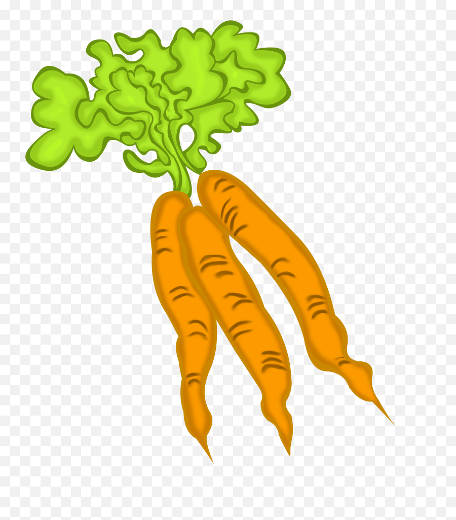 Carrots Pictures Cartoon - Drawing Carrots Png Transparent,Carrots Png