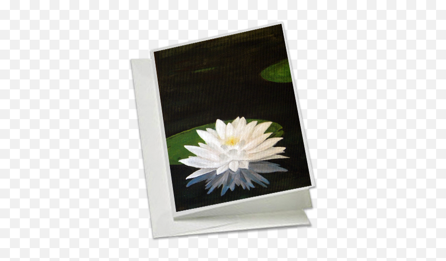 Download Hd Water Lily - Water Lilies Transparent Png Water Lilies,Lilies Png