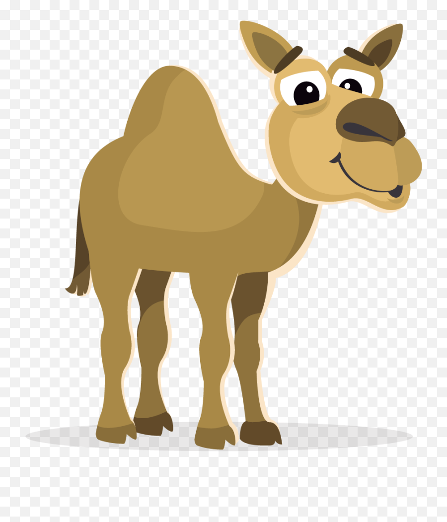 Camel - Clipart Cartoon Zoo Animals Png,Camel Png