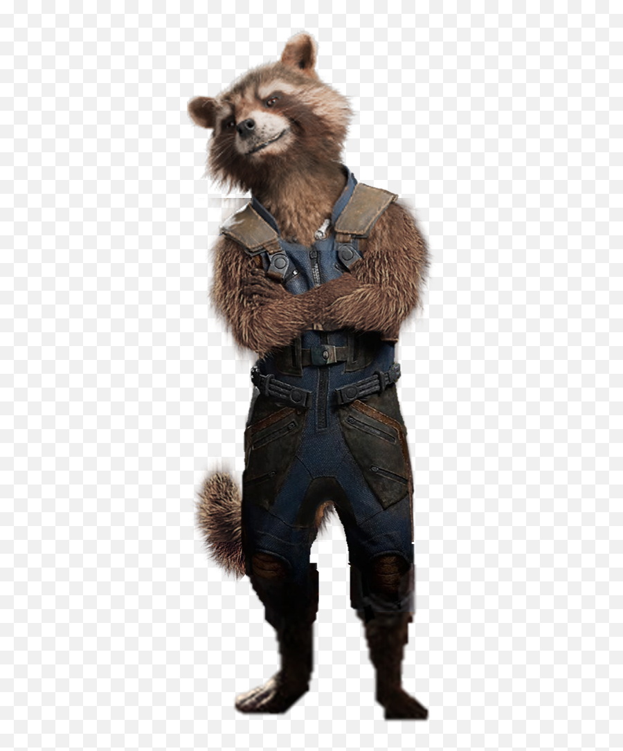 Vol 2 Rocket Raccoon - Mcu Rocket Raccoon Transparent Png,Rocket Raccoon Png