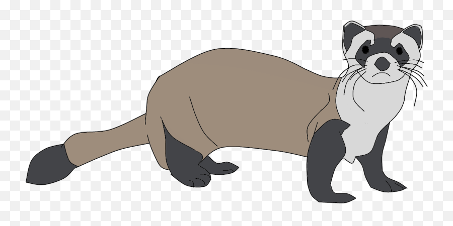 Ferret Png Clipart - Ferret Clipart Png,Ferret Png