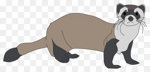 Ferret Png Clipart - Ferret Clipart Png,Ferret Png