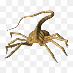 Download Hd Facebook Like Thumbs Up Png - Facehugger Xnalara