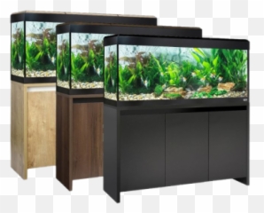 Transparent Png And Vectors For Free - Aquarium Fluval Roma 240,Fish Tank Png