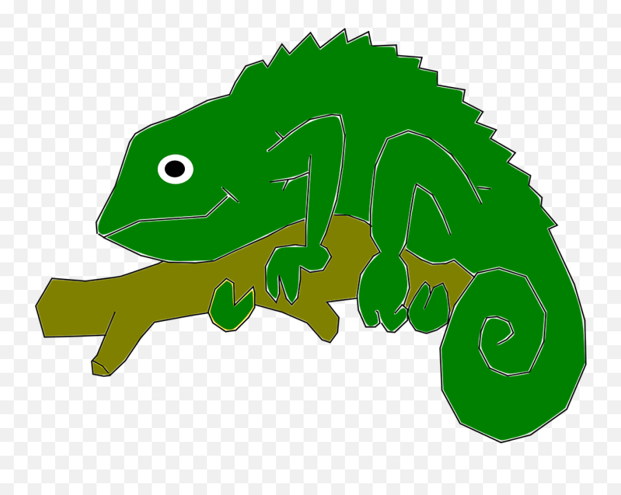 Chameleon Reptile Lizard - Panther Chameleon Png,Chameleon Png