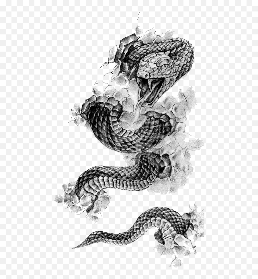 Rattlesnake Tattoo Flash Black - Andgray Snake Png Download Snake Tattoo Png,Tattoo Png Tumblr