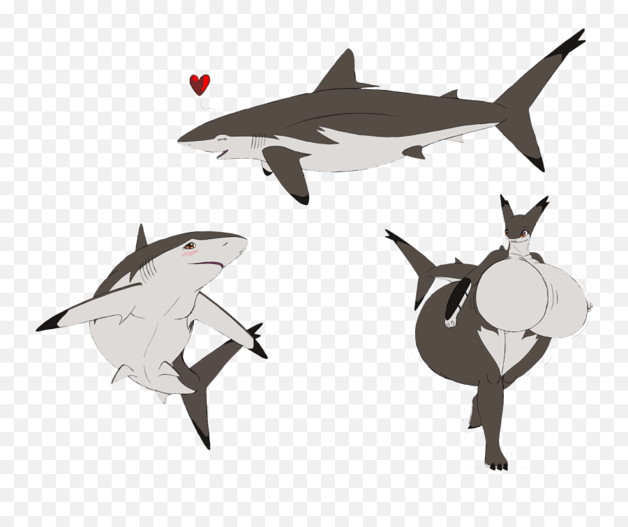 Cartoon Shark Png - Clipart Freeuse Library Great White Thresher Shark Cute Art,Shark Clipart Png