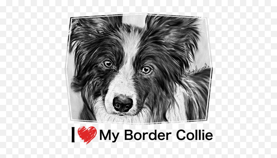Border Collie Stare Kids T - Shirt Framed Prints Created With Procreate Png,Border Collie Png