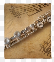 Silver Flute - We live to change Flute png