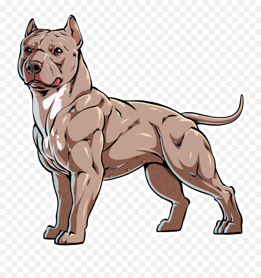 Its That Most Breeders Do Not Explain - Puppy Pitbull Dog Drawing Png,Pitbull Png