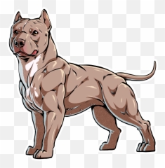 Its That Most Breeders Do Not Explain - Puppy Pitbull Dog Drawing Png,Pitbull Png