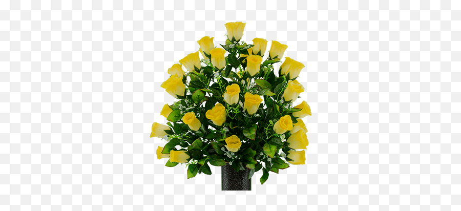 Two Tone Yellow Rose - Floribunda Png,Yellow Rose Png