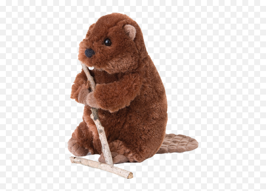 Douglas Buddy Beaver - Beavers Stuffed Animals Transparent Png,Beaver Transparent
