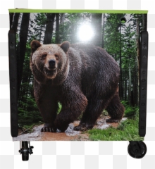 Matco Tool Box Wrap For Tools - Picture Frame Png,Matco Tools Logo