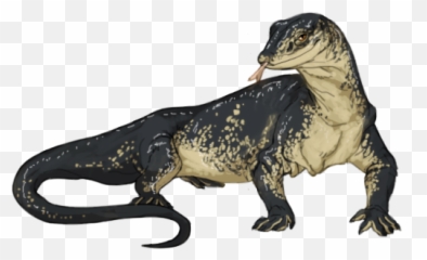 Monitor Lizard Png Image - Transparent Background