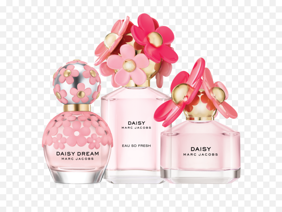 Download Free Body Cologne De Toilette Perfume Note - Marc Jacobs Daisy Blush Perfume Png,Icon Cologne
