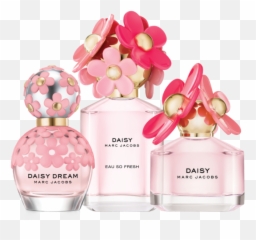 Download Free Body Cologne De Toilette Perfume Note - Marc Jacobs Daisy Blush png