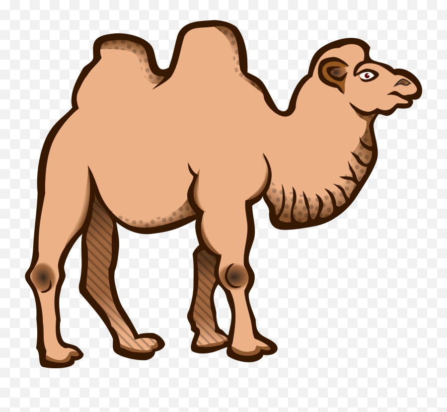 Vector Royalty Free Download Png Files - Bactrian Camel Clipart,Camel Logo