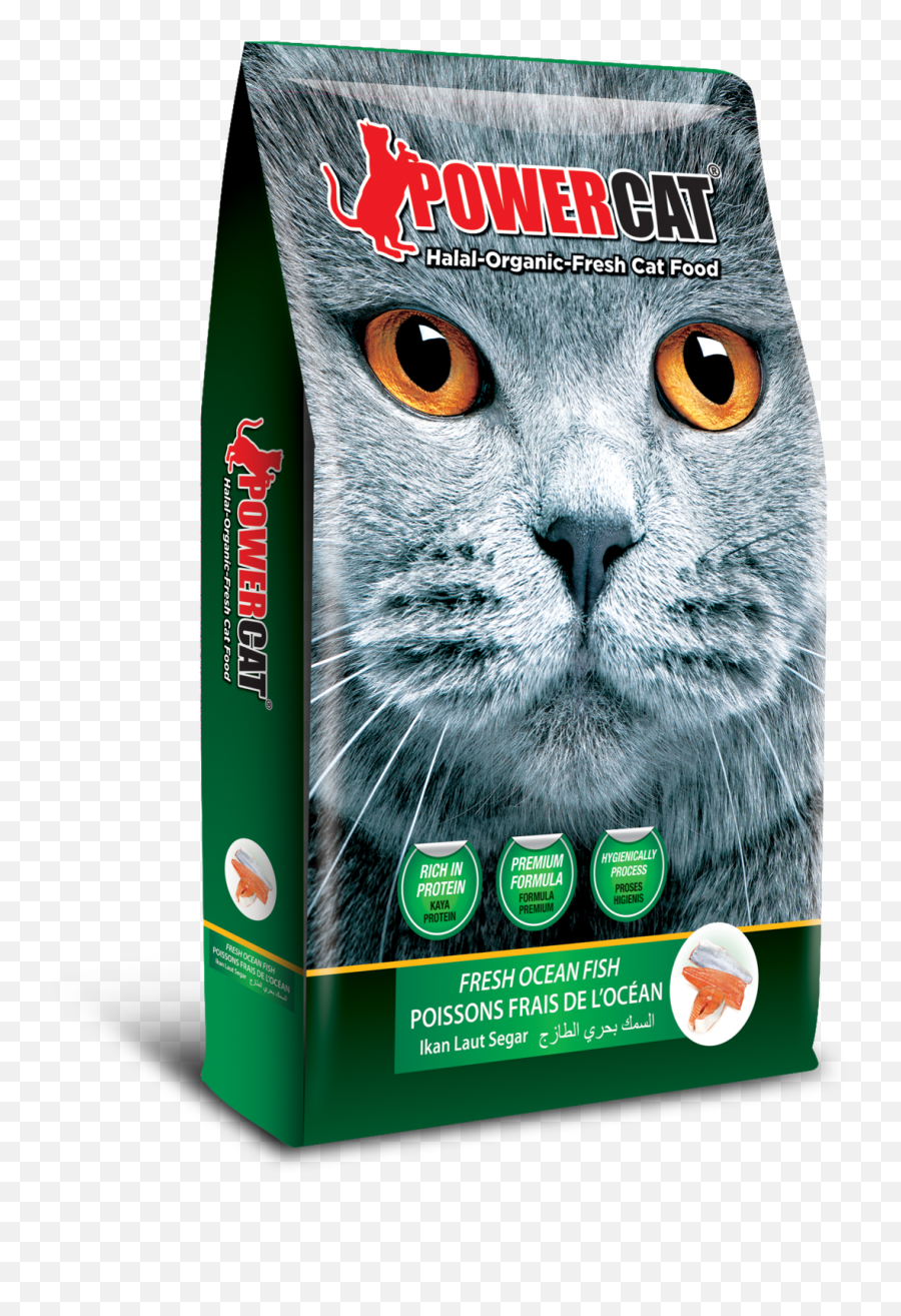 Fresh Ocean Fish Cat Food - Powercat Cat Food Png,Ocean Fish Png