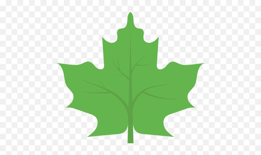 Leaf - Free Nature Icons Sugar Maple Png,Green Leaf Icon