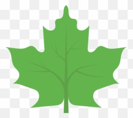 Leaf - Free nature icons Sugar Maple png