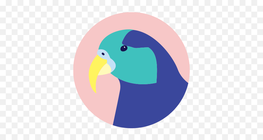 Home - Akiva Parrots Png,Purple Parrot Icon