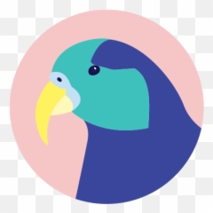 Home - AKIVA Parrots png