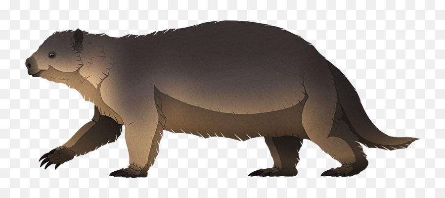 Insular Dwarfism U2013 Nix Illustration - Brown Bear Png,St Phanourios Icon