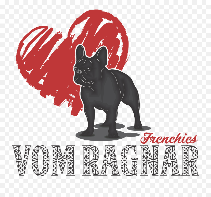 Vom Ragnar Frenchies French Bulldog Puppies For Sale Png Transparent Background