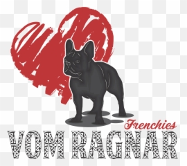 Vom Ragnar Frenchies French Bulldog Puppies For Sale Png Transparent Background