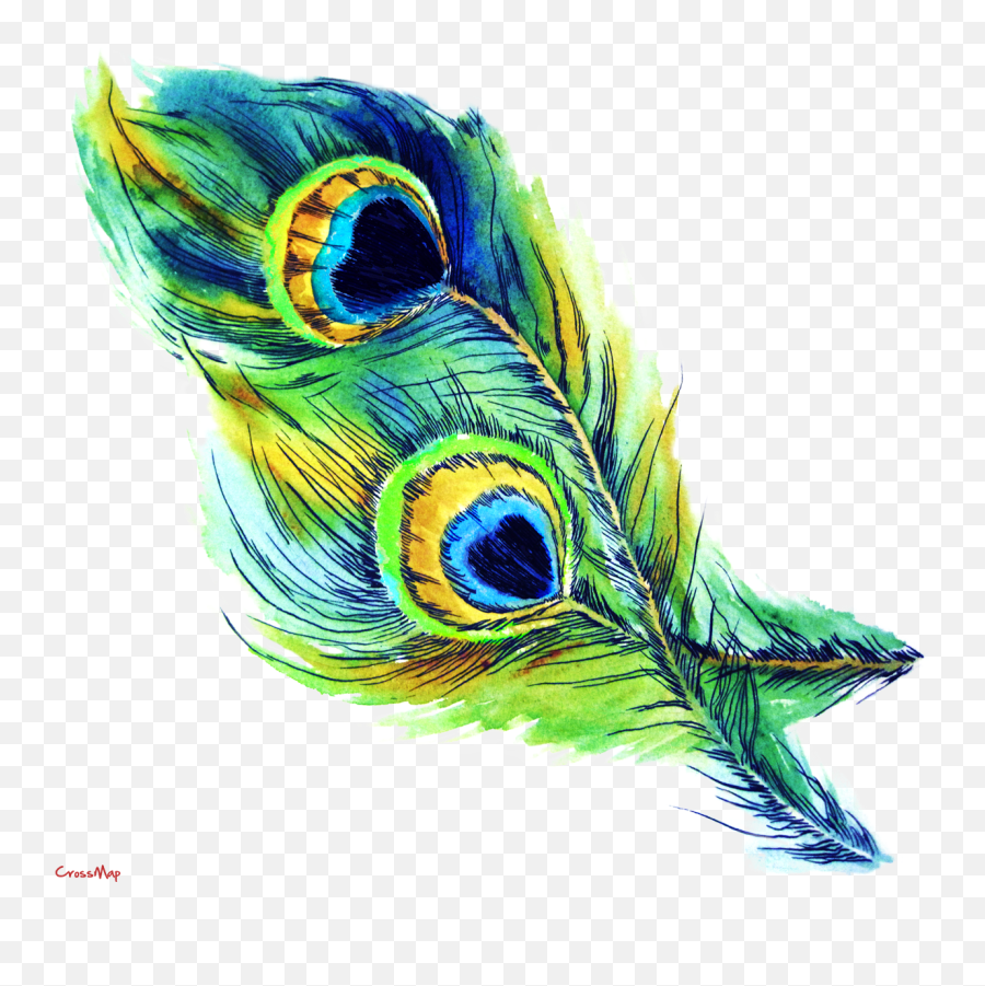 Clipart Png Peacock Transparent Free - Krishna Peacock Feather Png,Artwork Png