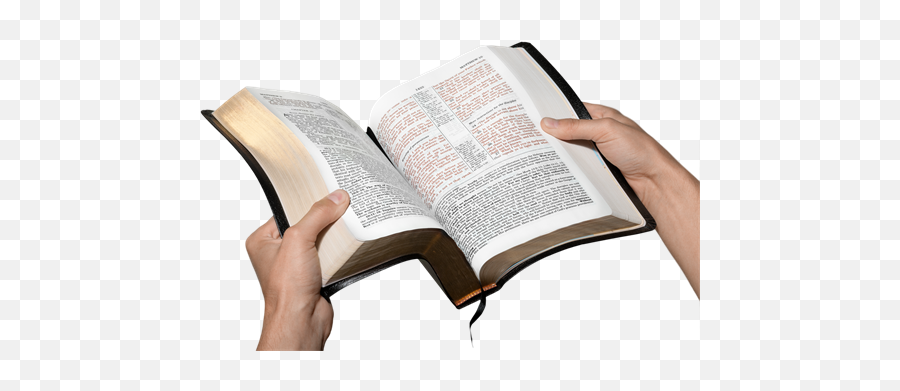 Reading Bible - Hand Holding Open Bible Png,Bible Png