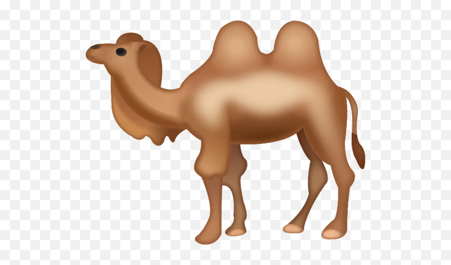 Camel Emoji Free Download Ios Emojis - Camel Emoji Png,Camel Png