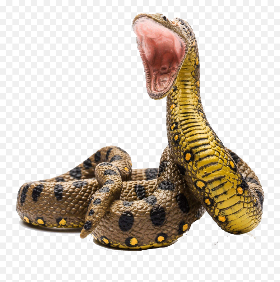 Download Hd Collecta Green Anaconda Transparent Png Image - Anaconda Png,Anaconda Png