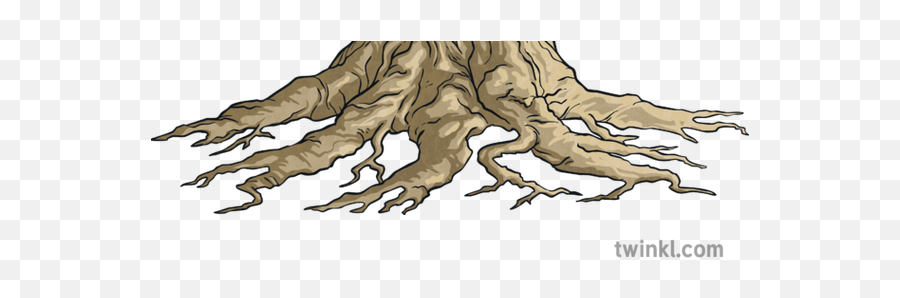 Knowledge Tree Roots Display Nature Plant Leaf Branches - Illustration Png,Tree Roots Png