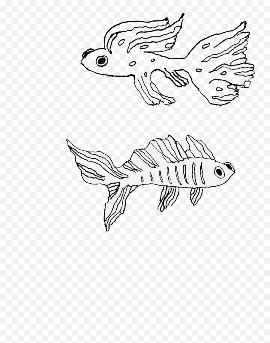 An Open Letter To My Tropical Fish Manitou Messenger - Line Art Png,Tropical Fish Png