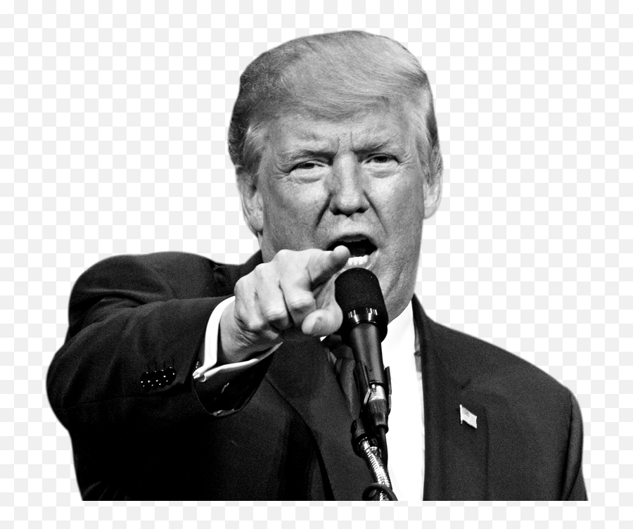 Has Trump Insulted You U2013 Take Our Quiz To Find Out Us - Black And White Donald Trump Png,Trump Png