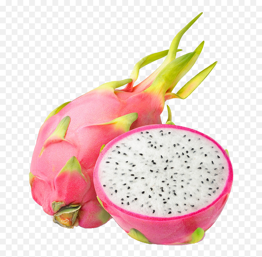 Transparent Food - Milk Of The Poppy By Vapetasia E Juice Png,Dragonfruit Png